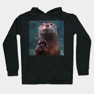 North American River Otter Hoodie